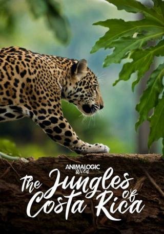 فيلم Animalogic Wild The Jungles of Costa Rica 2018 مترجم (2018)
