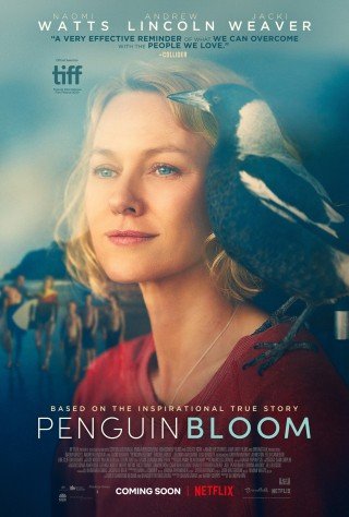 فيلم Penguin Bloom 2020 مترجم (2020)