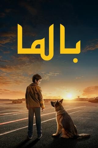 مشاهدة فيلم بالما مترجم (2021)